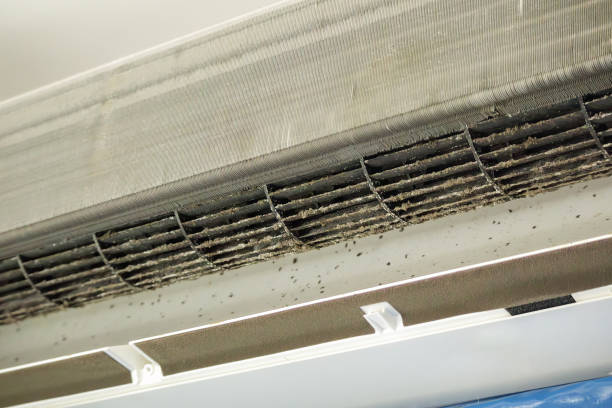 Best Industrial Air Duct Cleaning in Vado, NM