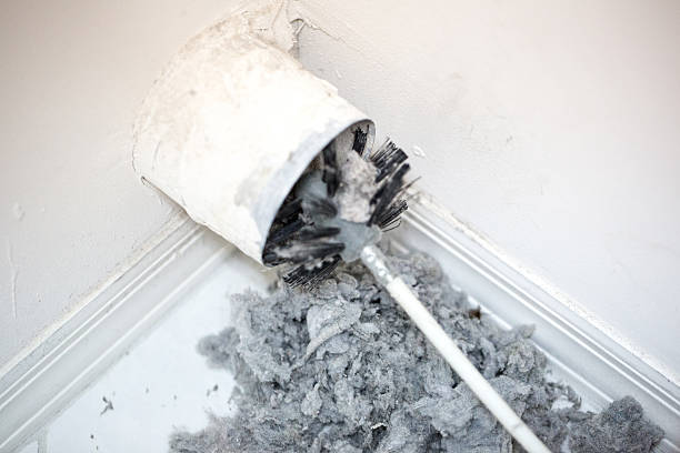 Best Mold and Mildew Removal from Ducts in Vado, NM